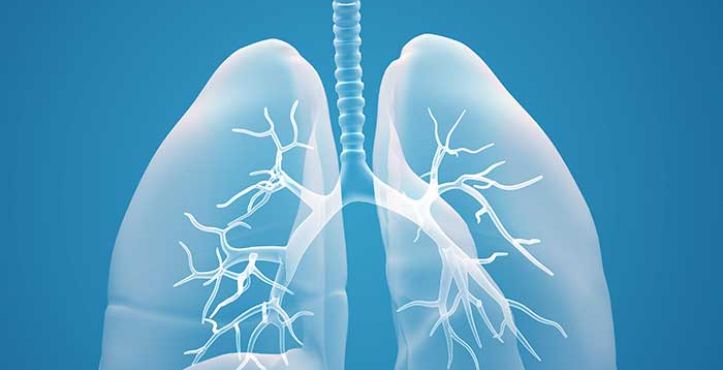 Understanding Patient Adherence in Chronic Respiratory Disease