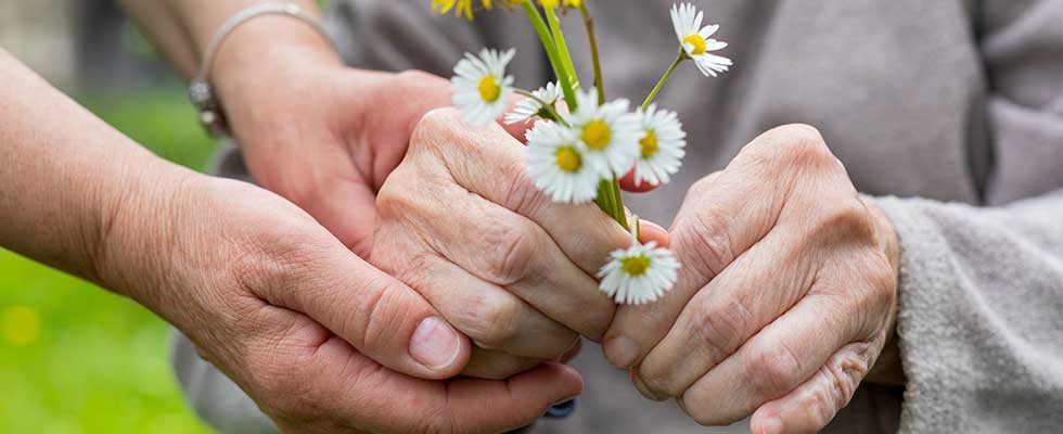 elderly woman holding while flowers