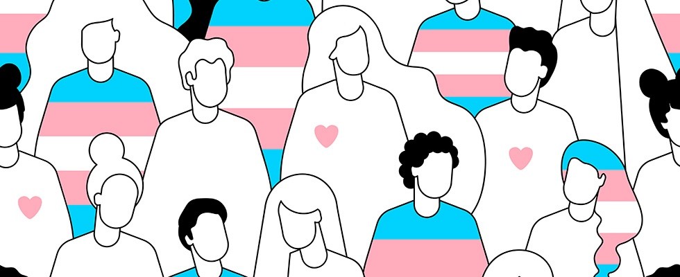 Outline Drawings of a Crowd of People, Featuring the Transgender Flag Colors