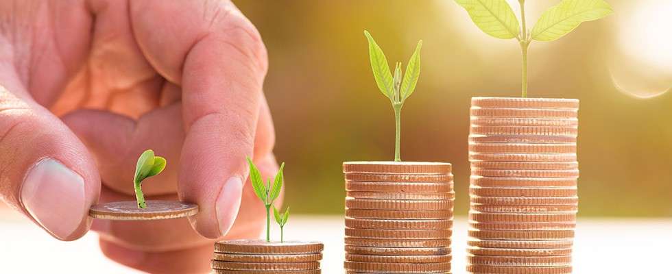 handa picking up a penny with a plant growing out of it next to increasing stacks of pennies with more mature plants