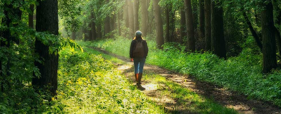 A person walking through a lush, green forest while the sun shines on them.