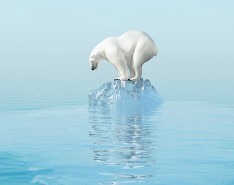 A polar bear standing on a small block of ice surrounded by water